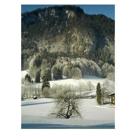 Falkenstein-wohnung-4-haus-b Oberstdorf